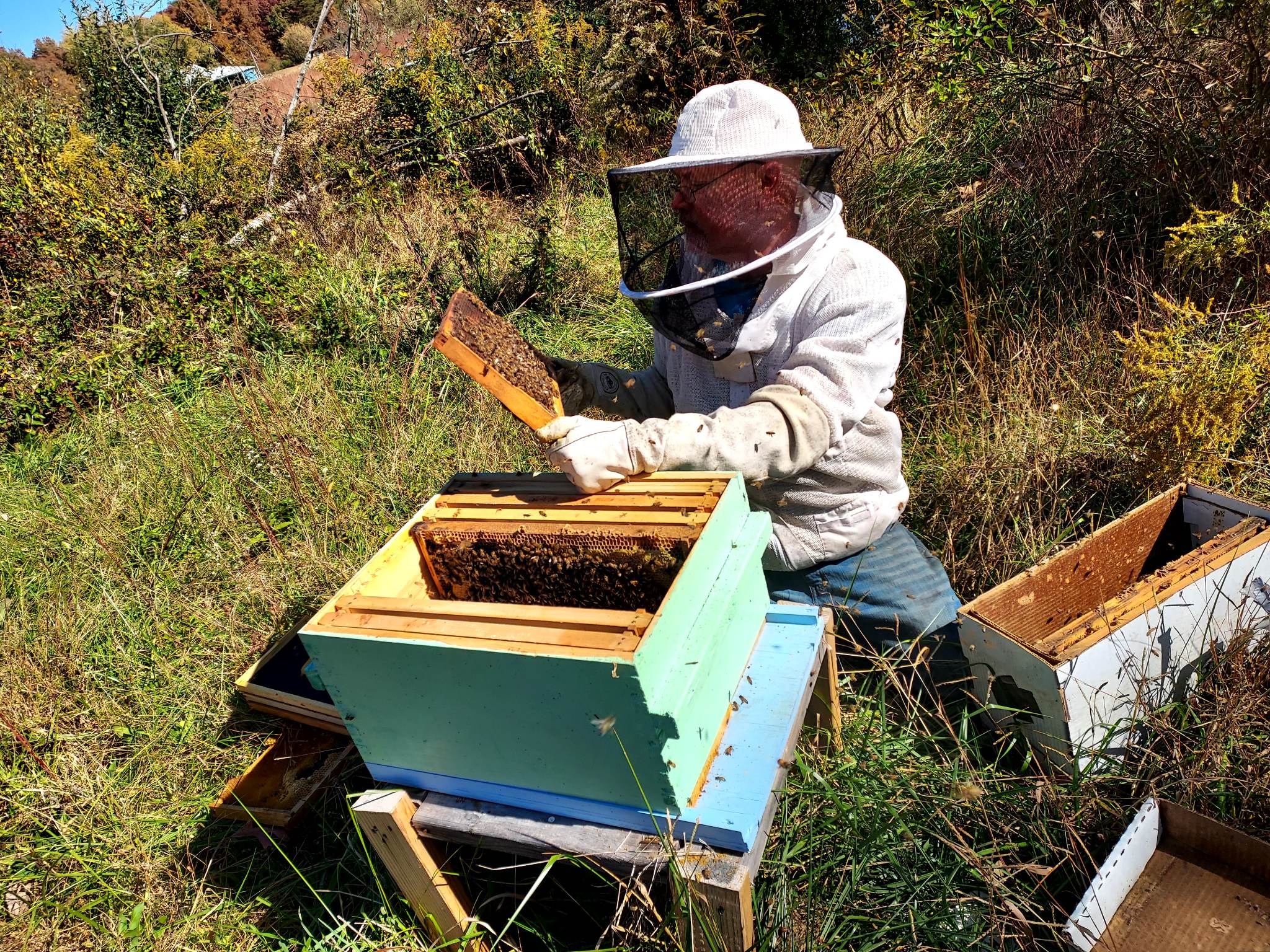 Dan Transferring Nucs into a Hive